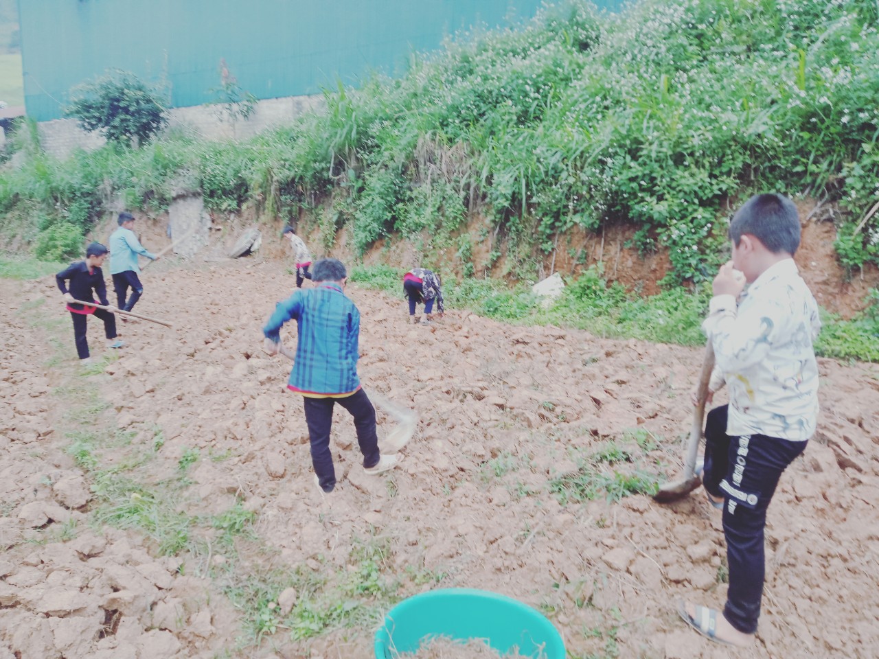 GIÁO DỤC KĨ NĂNG SỐNG - CHĂM SÓC BỒN HOA CÂY CẢNH CHO HỌC SINH TRƯỜNG PTDTBT TH QUANG TRUNG